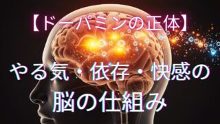 ドーパミンの解説記事アイキャッチ