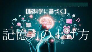 記憶力の解説記事アイキャッチ